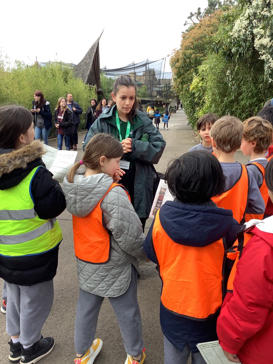 SBSPprimary's tweet photo. Year 4 had a fabulous time exploring @zsllondonzoo today! #animalexplorers #investigatons π―π¦ https://t.co/AuSxri6qad