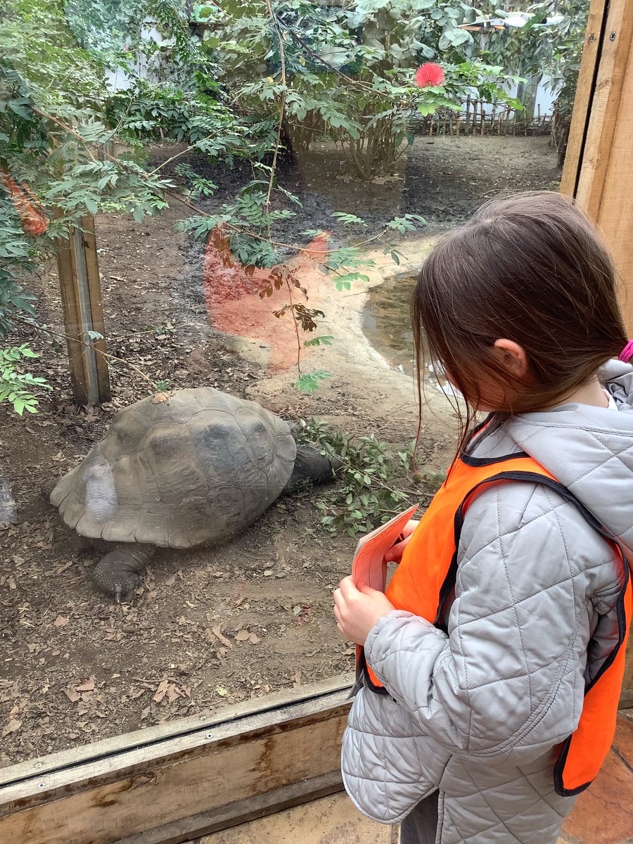 SBSPprimary's tweet photo. Year 4 had a fabulous time exploring @zsllondonzoo today! #animalexplorers #investigatons π―π¦ https://t.co/AuSxri6qad