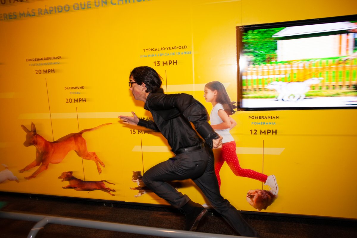 azsciencecenter's tweet photo. Here's the rundown on all things dogs 🐶
#FurFact: The fastest dogs are Greyhounds—they can run at a speed of 43 mph 💨 Put your skills to the test to see what breed matches your speed in our simulation at Dogs! A Science Tail! Fetch your tickets ➡️ https://t.co/maPwLycDpQ https://t.co/NDgiAKkFAl
