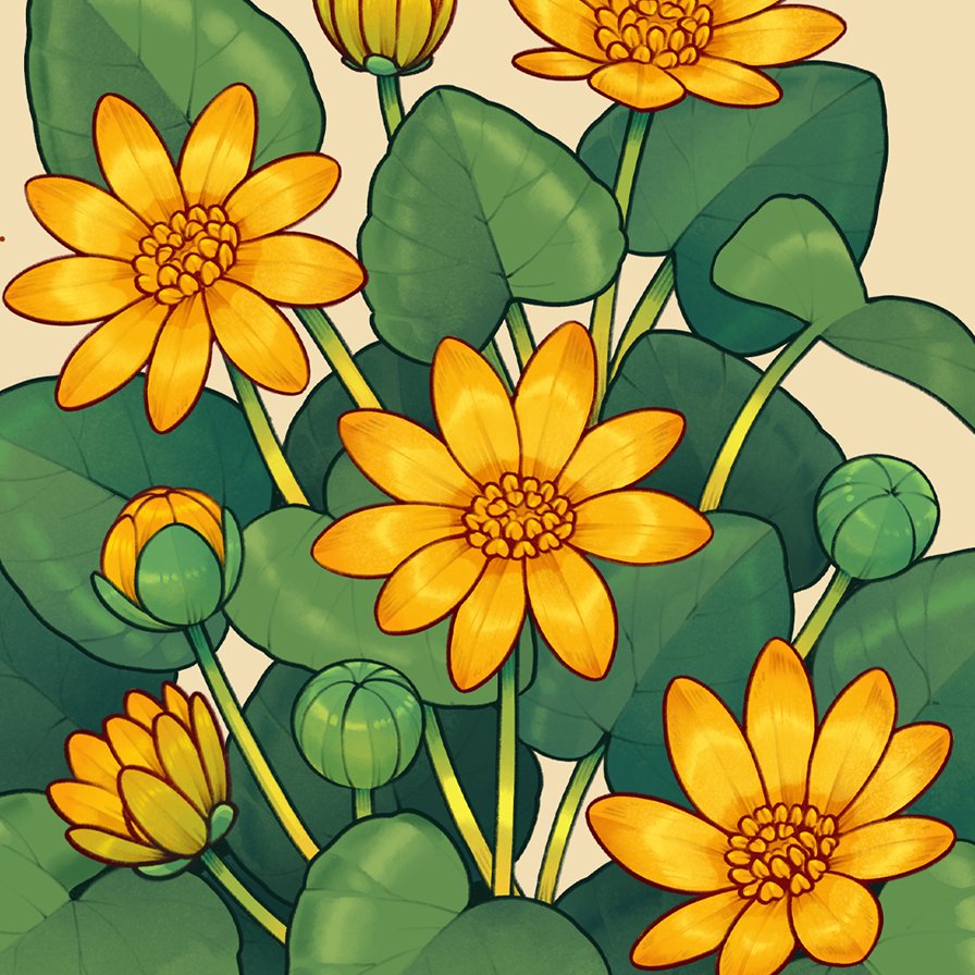 loon 🌱 on Twitter "a peek at this year's first quarterly botanical