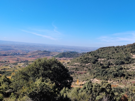 Spanish Wine Lover tweet media