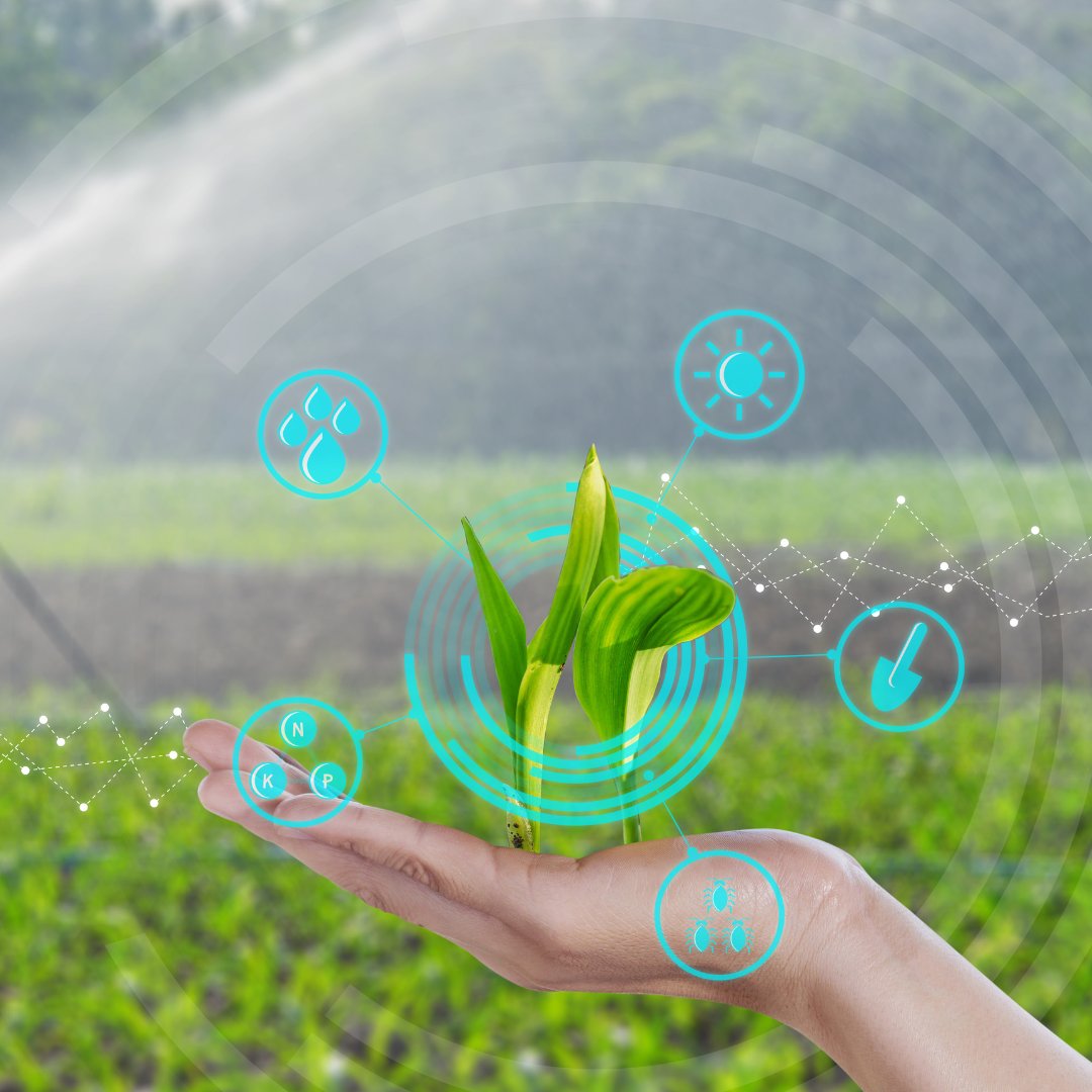 FITESA_Agro's tweet photo. #infoFITESA 

¿Cómo ayudan los sistemas Big Data y de inteligencia artificial en el desarrollo de la sanidad vegetal? 💻

Son numerosos proyectos, en nuestro país, que impulsan la transformación digital del sector agroalimentario  📲🚜

Más información 👇🏼
https://t.co/ciFCesDgZi https://t.co/3Vtw2oB5PD
