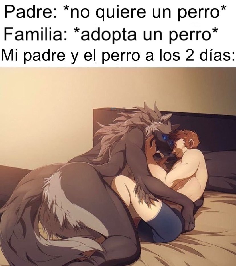 Memakker's tweet photo. esto es cierto https://t.co/uTC3DLUB4s