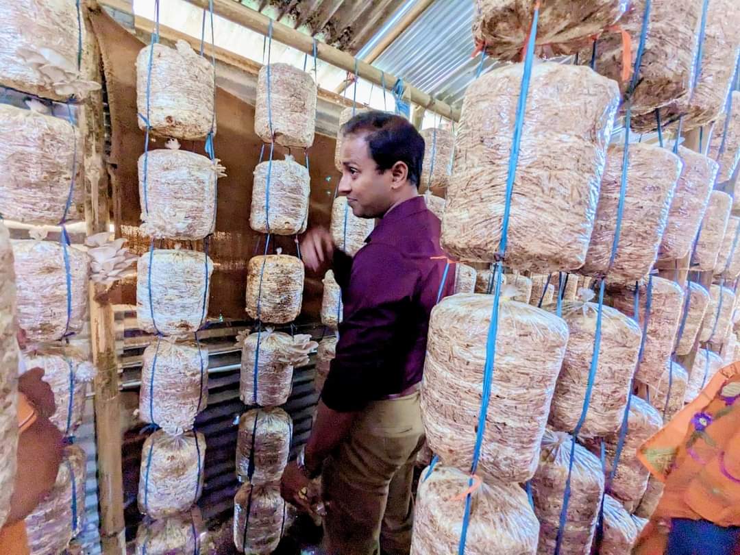 DMMUDHALAI's tweet image. Some glimpses of the field visit made by Respected Dr. Siddharth Shiv Jaiswal, IAS, DM &amp;amp; Collector, at a  mushroom production unit run and managed by  SHG members at Avanga GP under Salema R D Block, Dhalai.

#womenempowement 
#TRLM