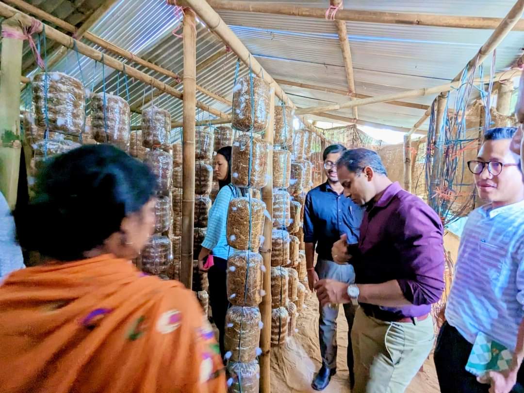 DMMUDHALAI's tweet image. Some glimpses of the field visit made by Respected Dr. Siddharth Shiv Jaiswal, IAS, DM &amp;amp; Collector, at a  mushroom production unit run and managed by  SHG members at Avanga GP under Salema R D Block, Dhalai.

#womenempowement 
#TRLM