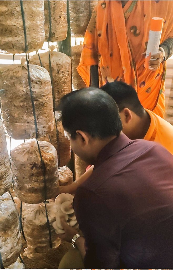 DMMUDHALAI's tweet image. Some glimpses of the field visit made by Respected Dr. Siddharth Shiv Jaiswal, IAS, DM &amp;amp; Collector, at a  mushroom production unit run and managed by  SHG members at Avanga GP under Salema R D Block, Dhalai.

#womenempowement 
#TRLM