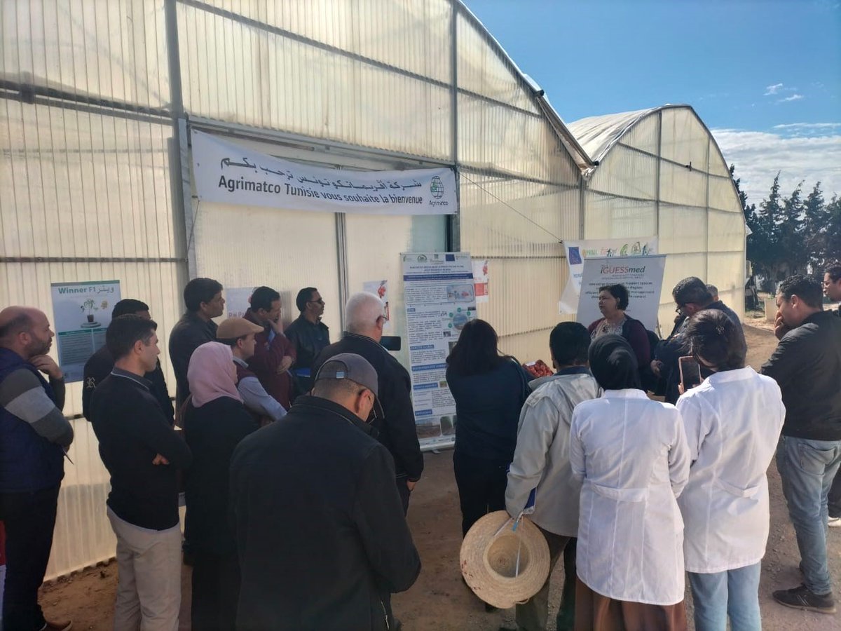 CRRHAB and Tunisian iGUESSmed Team organized an INFO-DAY for farmers and visited Maison de l’Oasis greenhouse. Topic: data from #OPI DSS by <a href="/evja_/">evja</a>  and monitoring of insects &amp; diseases protocols of tomato.

iGUESSmed is a <a href="/PrimaProgram/">PRIMA Program Mediterranean Partnership 🇪🇺</a> project coordinated by <a href="/CREARicerca/">CREARicerca</a>
#agtech