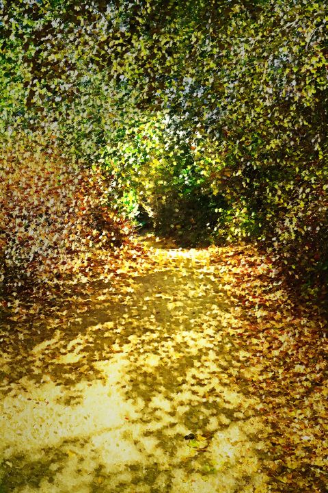 joyce_dickens's tweet photo. Art of the Day: "Pathway Through The Trees". Buy at: https://t.co/N8NLPhuAiJ https://t.co/AbxSbXPAre