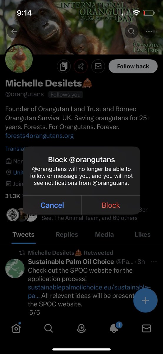 Konducta4LFE's tweet image. 5/5

&amp;amp; @orangutans (Michelle) was following me (Ughh) get a life weirdo &amp;amp; stop pretending you care about Orangutans it's really fucked up. But at least you have posse or morons who like your idiotic tweets; all good in the end justice will prevail; #BanPalmOil #BanDeforestation