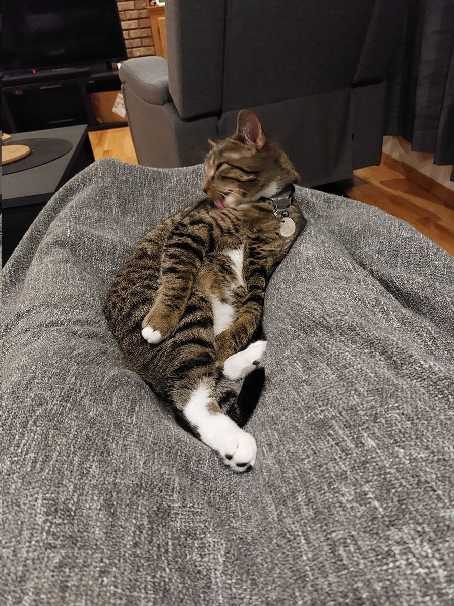 Suki tweet media
