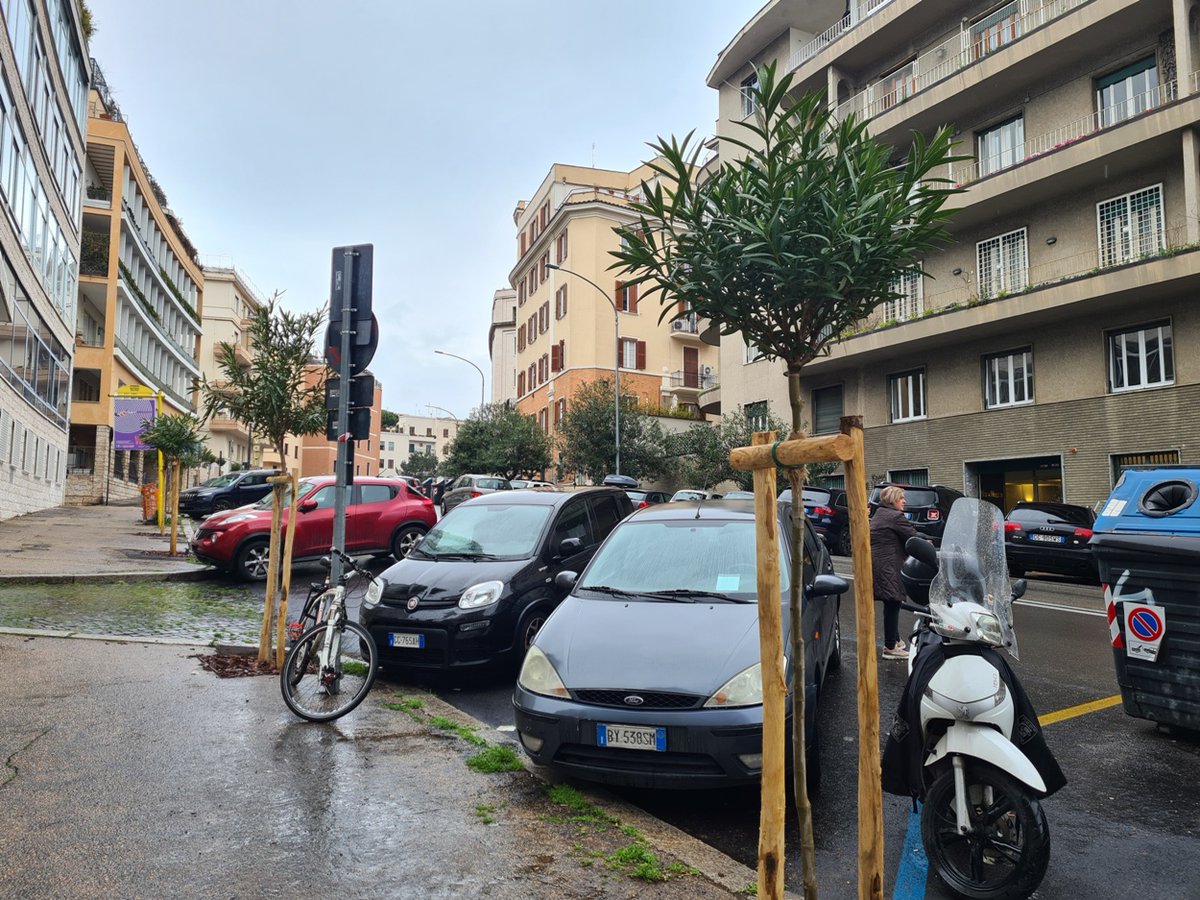 test Twitter Media - I nuovi alberi a viale Buozzi.
Ne sono stati piantati una cinquantina, dopo che a luglio del 2022 furono rimossi da Terna per i lavori nel sottosuolo. Gli oleandri sono piccoli ma si spera cresceranno in fretta.
#Roma #fotodelgiorno https://t.co/nexqjSW6nw