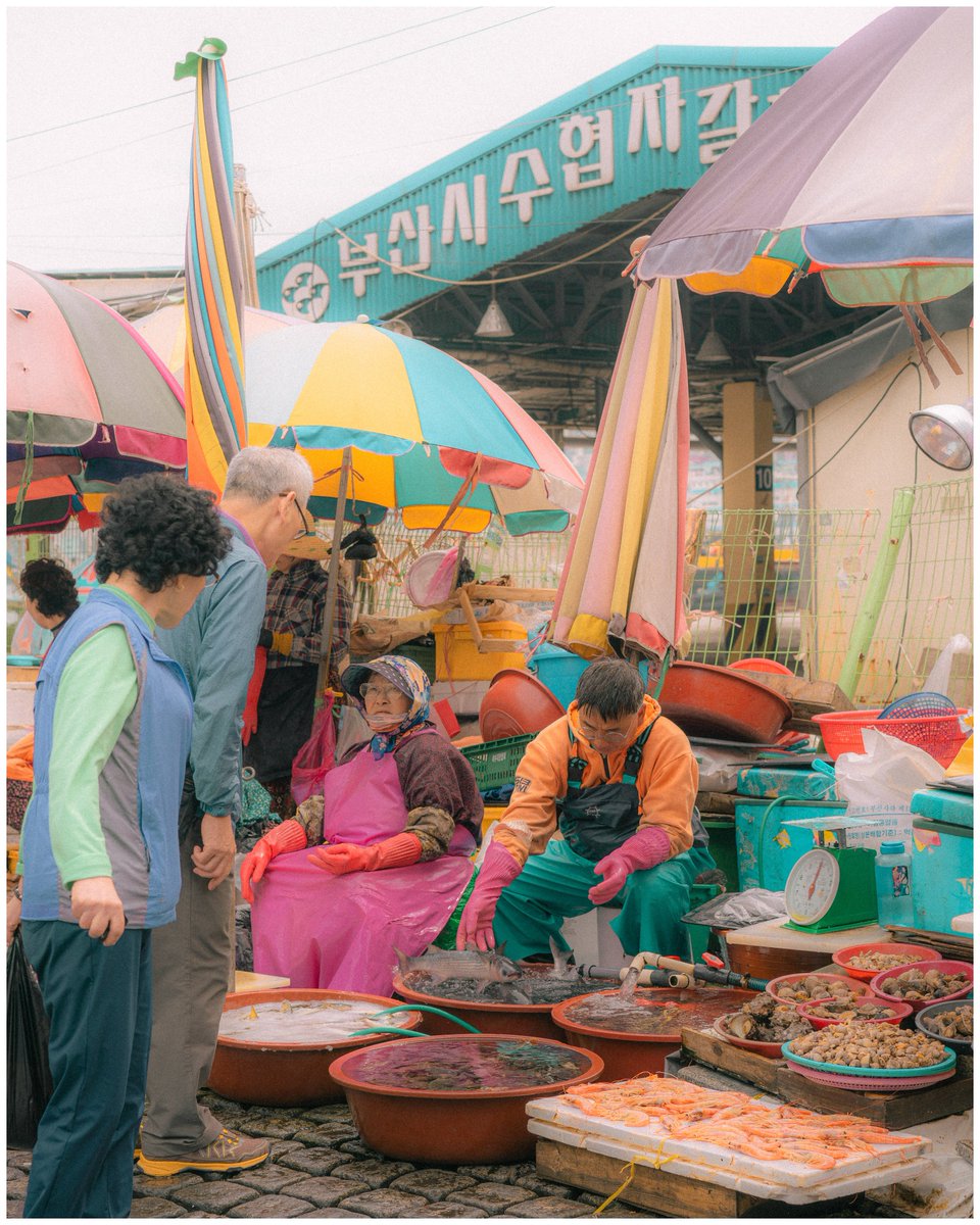 jane_kim tweet media