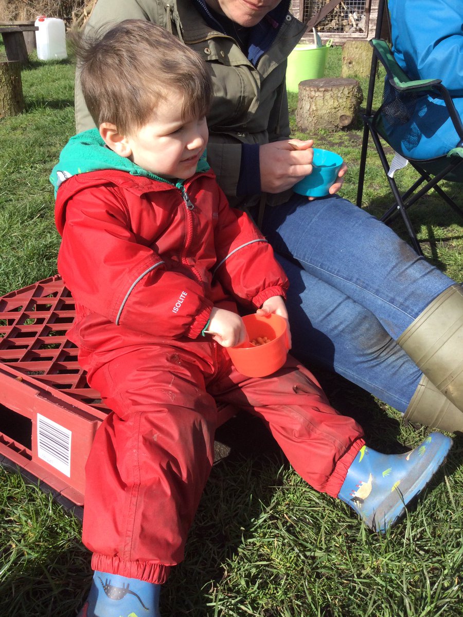 HTAClassSmith's tweet photo. Seeds.  Now is the time to start sowing.We planted seed potatoes,sweet corn made seed mosaics and flower seed bombs Then cooked and ate beans on toast #HTAforestschool https://t.co/JqqsJ6WQ6V