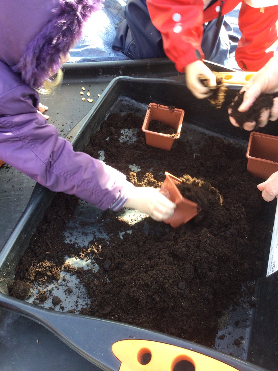 HTAClassSmith's tweet photo. Seeds.  Now is the time to start sowing.We planted seed potatoes,sweet corn made seed mosaics and flower seed bombs Then cooked and ate beans on toast #HTAforestschool https://t.co/JqqsJ6WQ6V