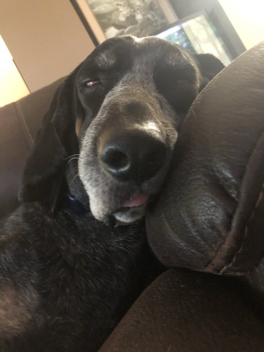 Leslie Coker Fowler tweet media