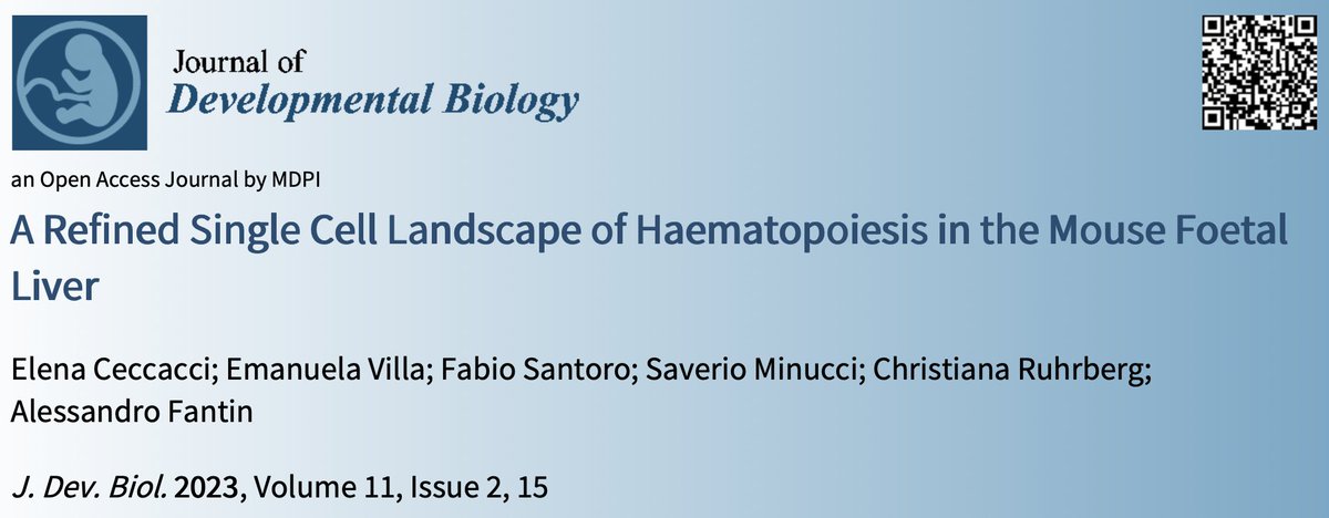 RuhrbergLab's tweet photo. Exciting to co-author a publication from the Fantin lab @JDBMDPI https://t.co/2ccXU1OiIl