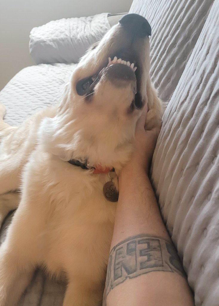 HIDzera's tweet photo. "Ahhh isso, aí mesmo papai!"

#GoodApollo https://t.co/Ivb5SwBaar