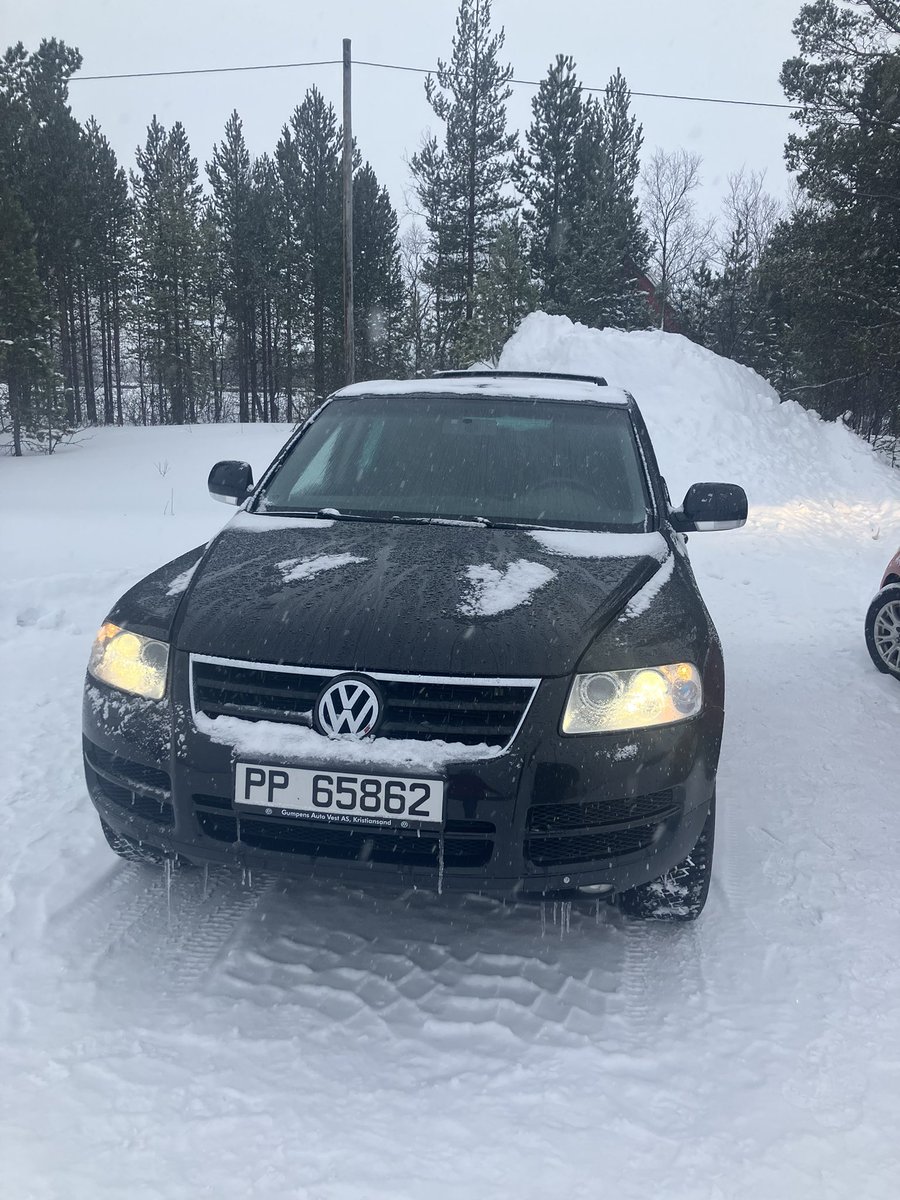 OlesenTilde's tweet photo. Jeg har nu gjort det hidtil mest voksne i mit liv - jeg har købt en bil. Hils på Elton🥰 https://t.co/Iv9dJmWF9l