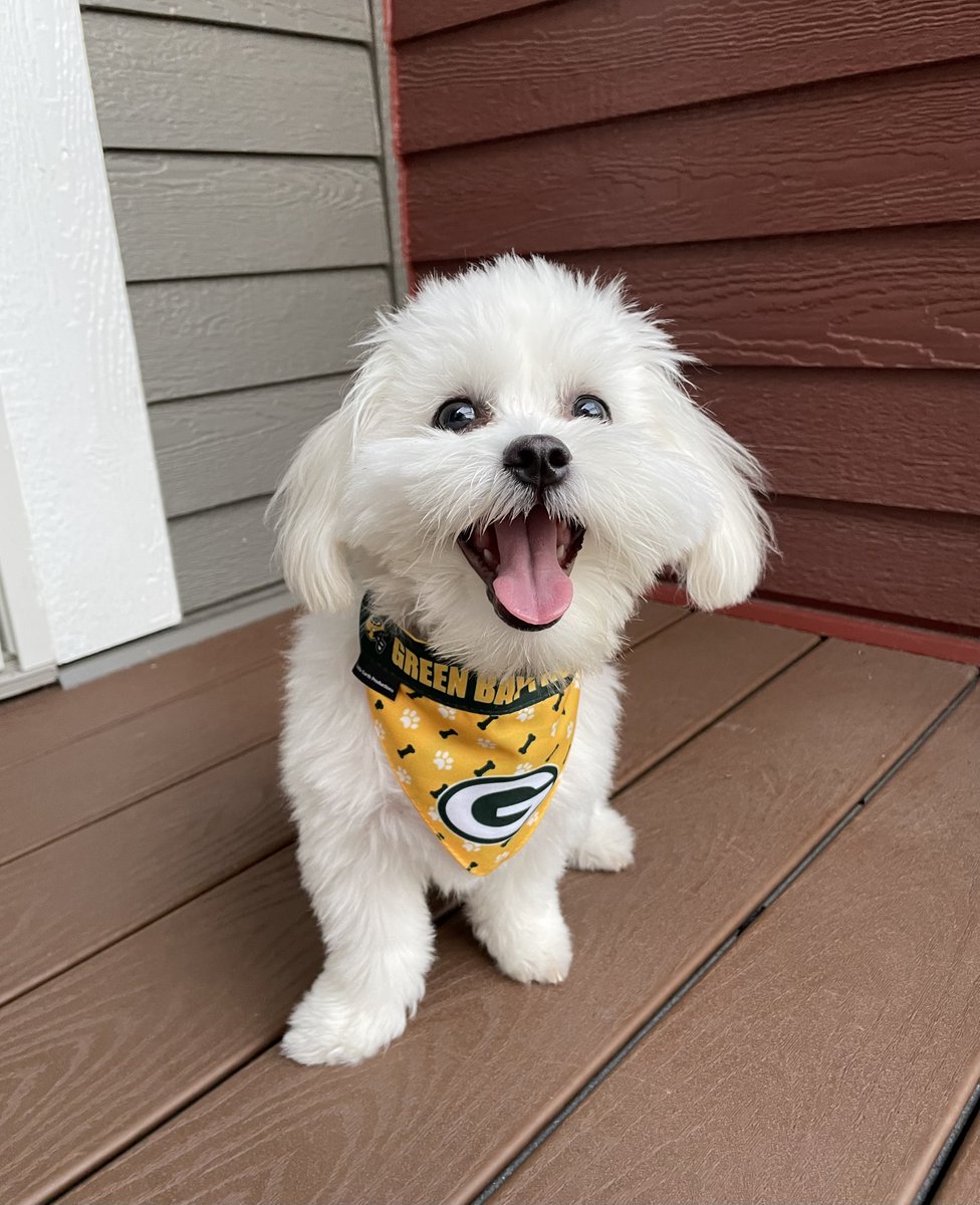 packersproshop tweet picture