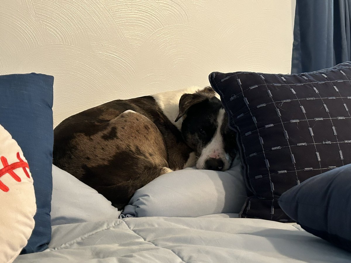 Lisa Caulfield tweet media