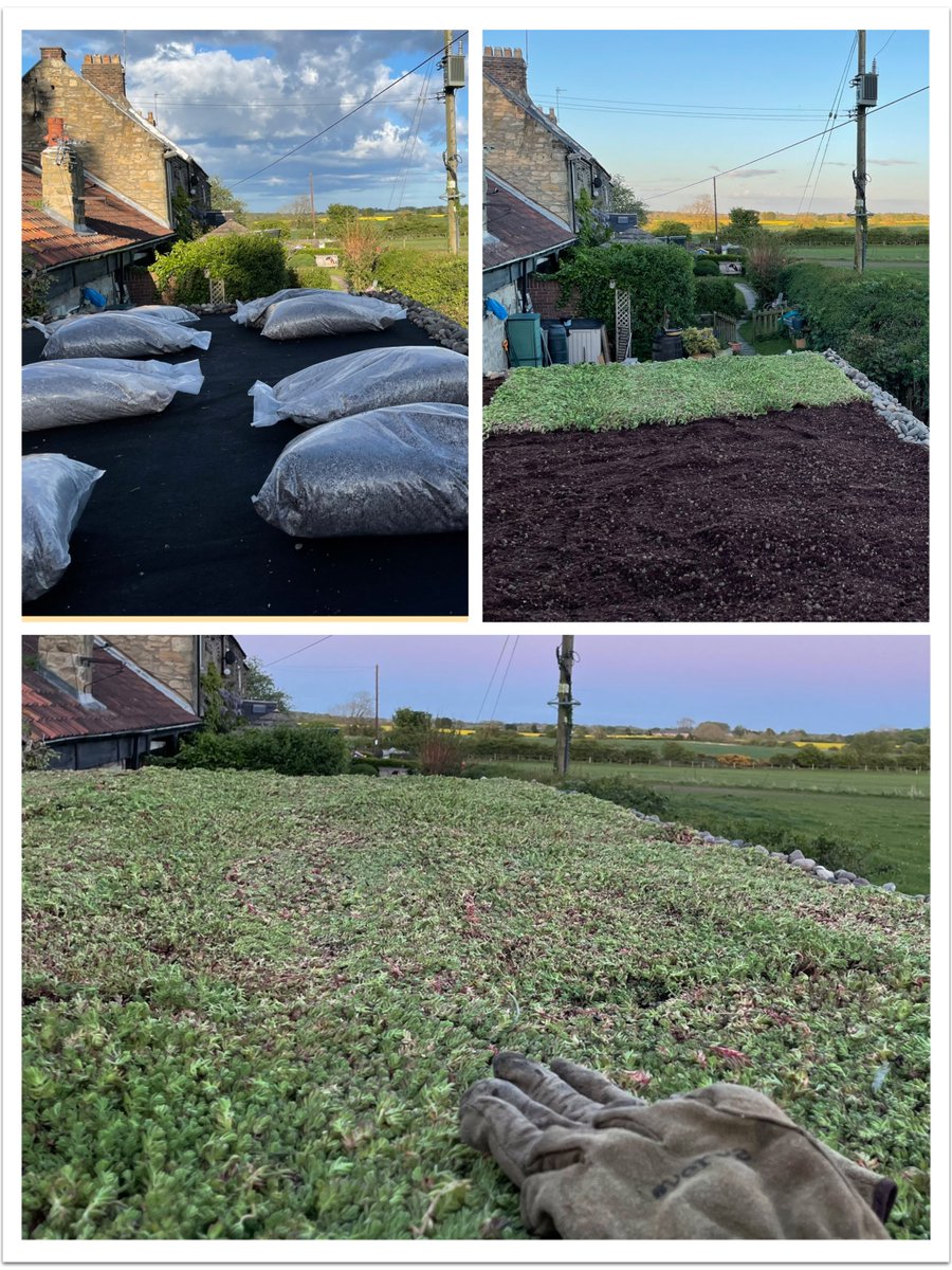 Go Green with your Garden Office! 🟩
#officedesign #gardenoffice #workfromhome #greenarchitecture #easyinstall #simpletoinstall #savetheplanet #sedumroof #greenroof #evermat