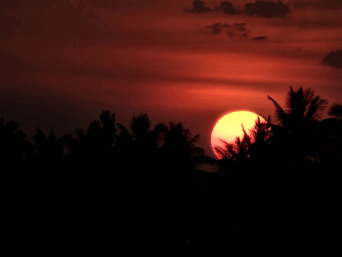 estacy_king's tweet image. Somewhere in my den....
📱- #oneplus6t #SamsungS23Ultra 
#sunset