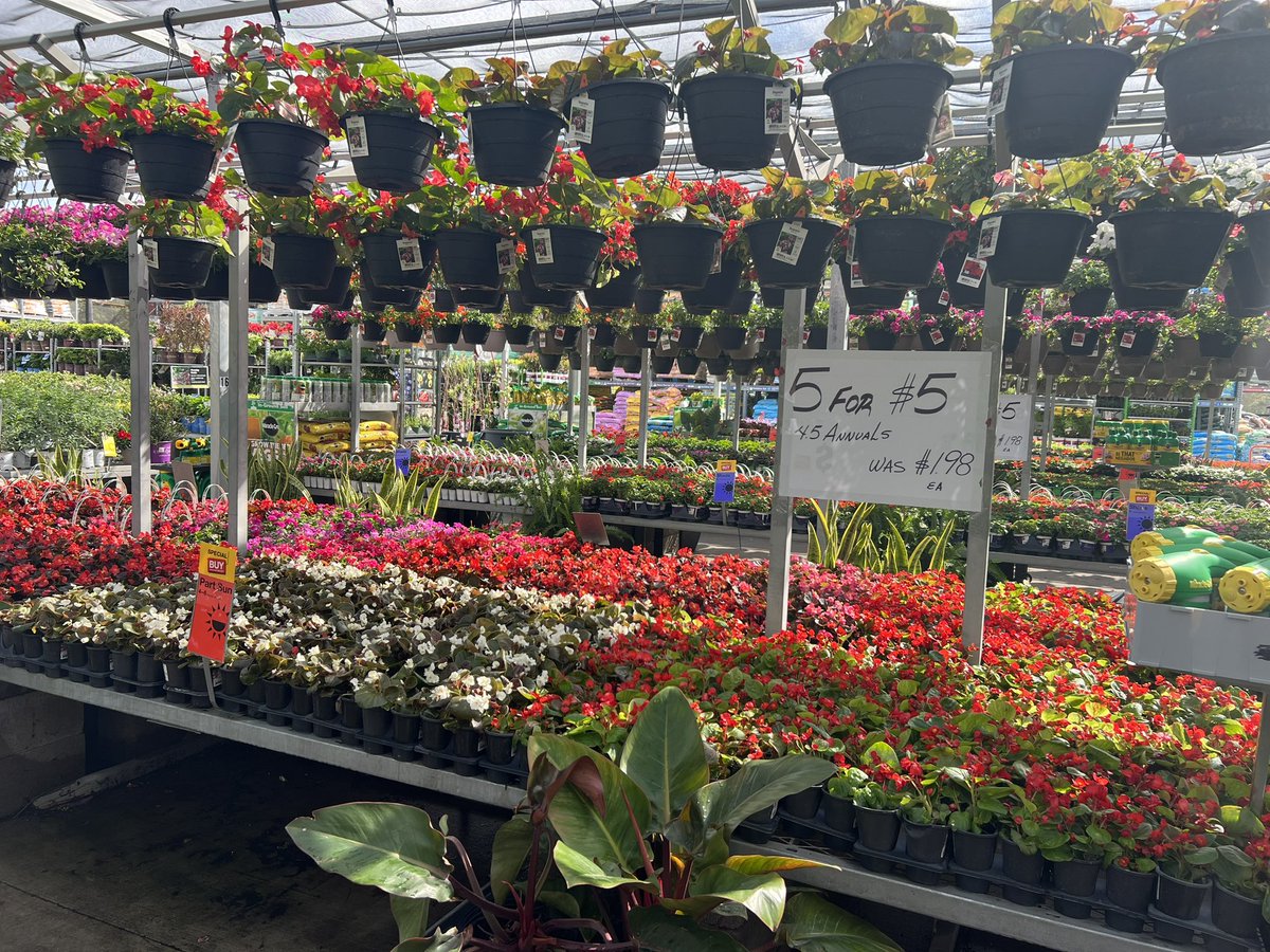 SPRING ❤️ Spring Valley <a href="/MejutoAllen/">Allen Mejuto</a> <a href="/Jhans818/">Jonathan Barrera</a> <a href="/CornishaJeffery/">Cornisha Jeffery</a> <a href="/loisl97/">tonya h</a>