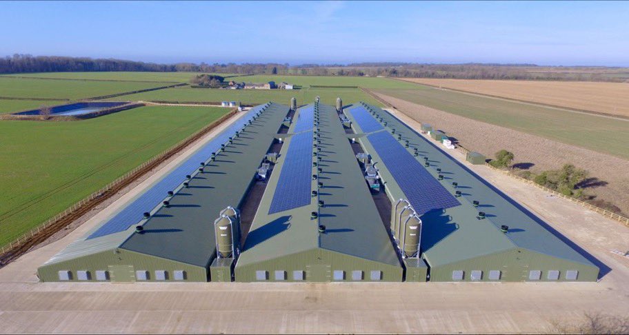 Brian Moxon tweet media