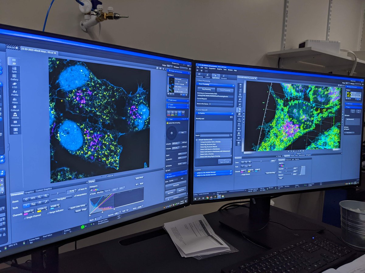 Tom Sheard (@tmdsheard) on Twitter photo New microscope time!! <a href="/zeiss_micro/">ZEISS Microscopy</a> LSM 980 in <a href="/ScienceShef/">Science at Sheffield</a> LMF facility. Colour me impressed. New microscope time!! <a href="/zeiss_micro/">ZEISS Microscopy</a> LSM 980 in <a href="/ScienceShef/">Science at Sheffield</a> LMF facility. Colour me impressed.