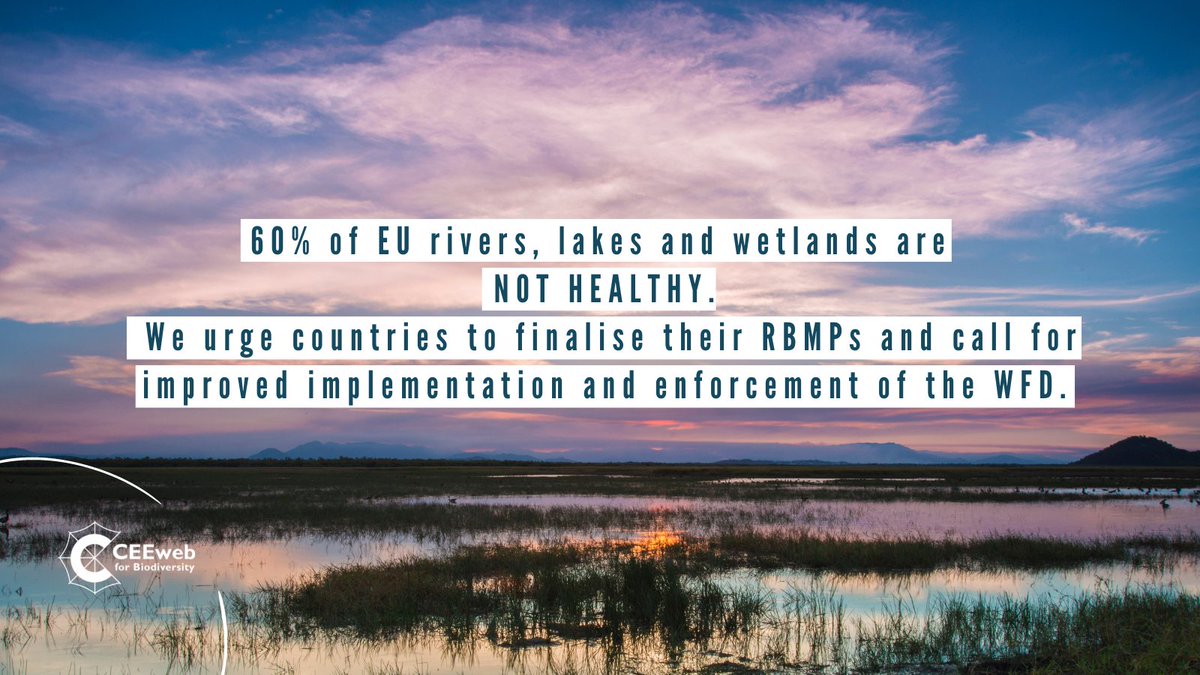 CEEwebEurope's tweet image. Despite the #WaterFrameworkDirective (WFD) obligating #MemberStates to protect and restore water bodies in order to reach an acceptable status, and prevent deterioration, 60% of #EU rivers, lakes and wetlands are not healthy. ☣️🏞️