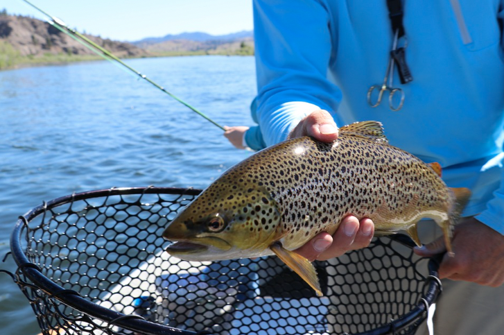 ClimateLit's tweet photo. Why do most fish prefer the cold? 🐟❄️
Find out with @PIE_LTER #CLEANResource “Inland Fish and Warming Waters” and explore how human-driven #climate change impacts fish populations + get students brainstorming how to help one impacted species survive ➡️ https://t.co/oIMt5XOv90 https://t.co/LHVNu9bnme