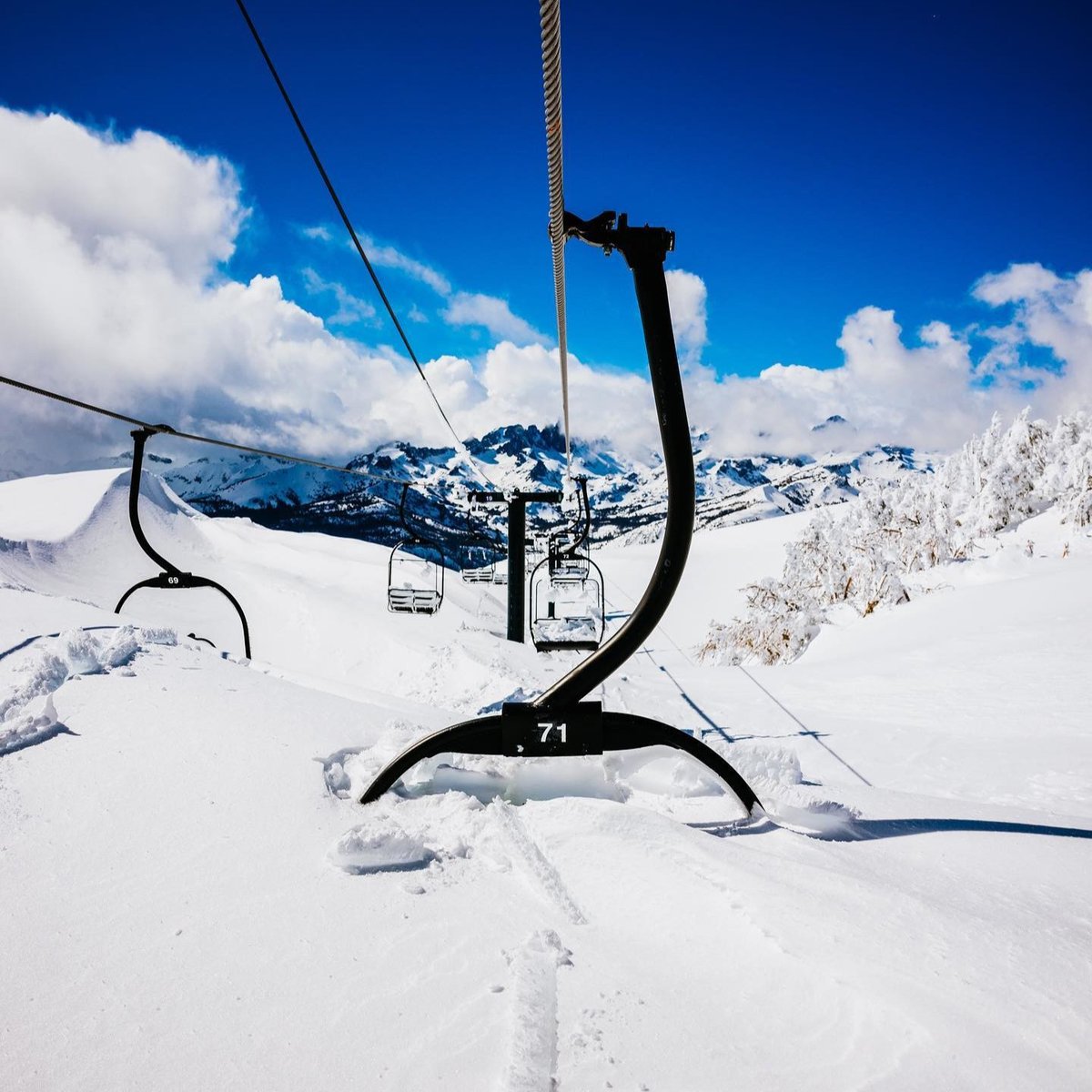 Alterra Mountain Co. tweet media