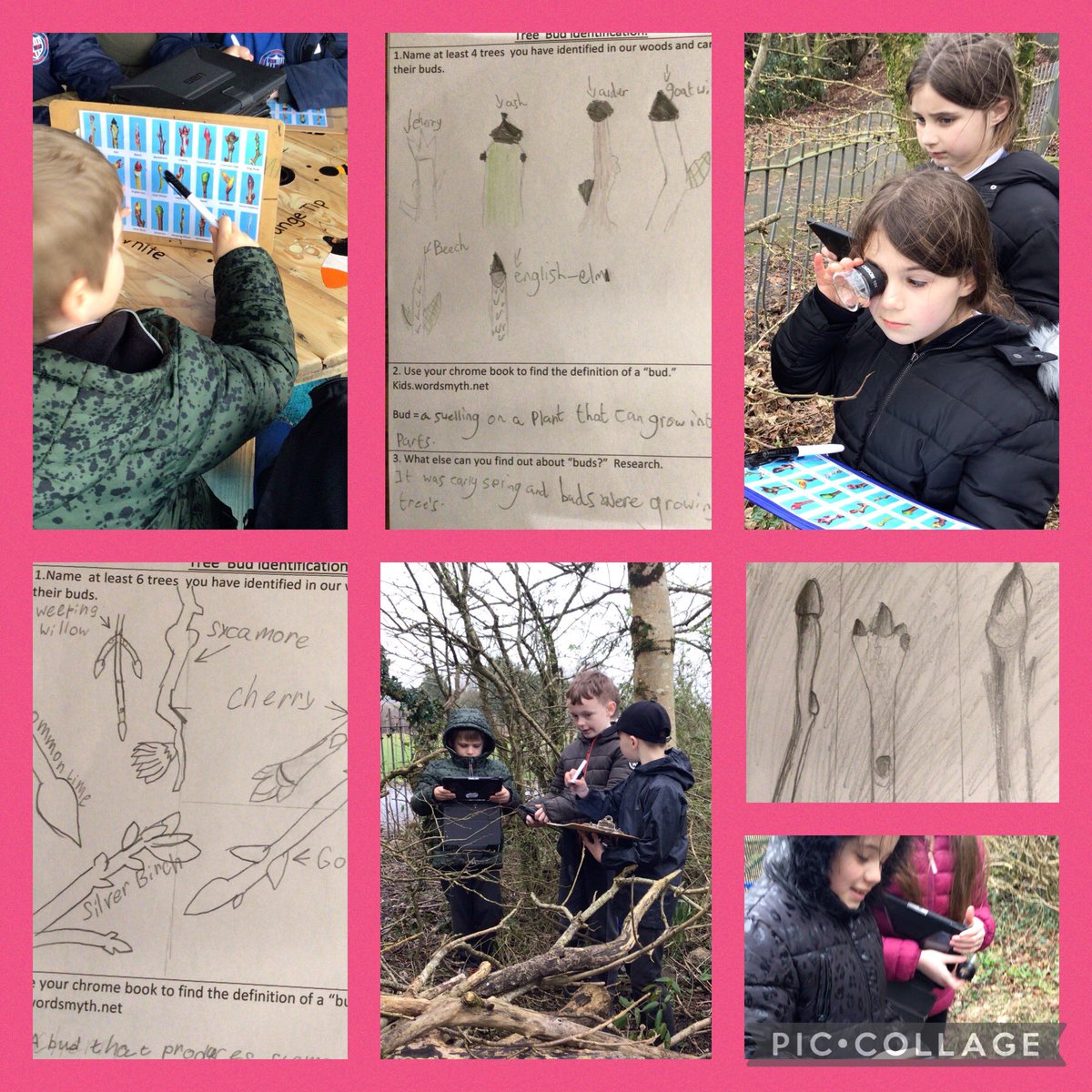 Identifying trees by their buds. Lovely learning outdoors despite the weather. Team work, observation skills and enjoying the challenge. 
@DeightonPrimary <a href="/DPS_Owen/">Mr Owen's Class</a> 
#outdoorlearning #seizetheseason.