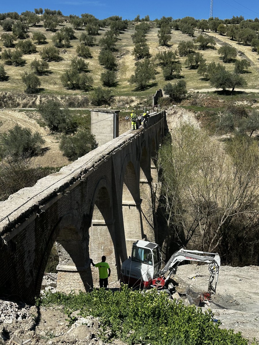 Aurora Suárez tweet media