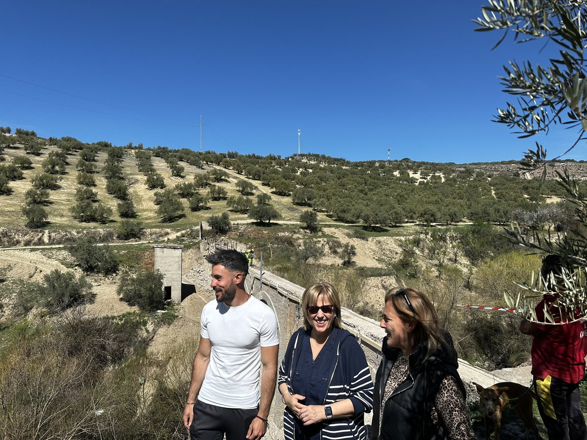 Aurora Suárez tweet media