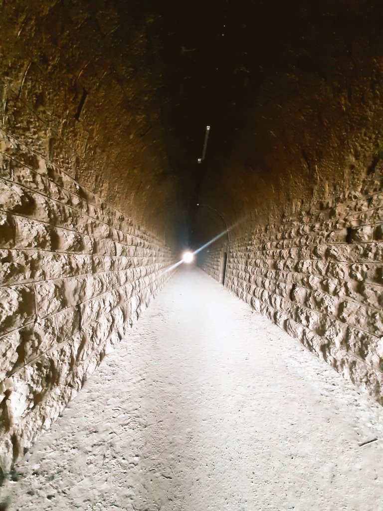 Elisa a secas tweet media