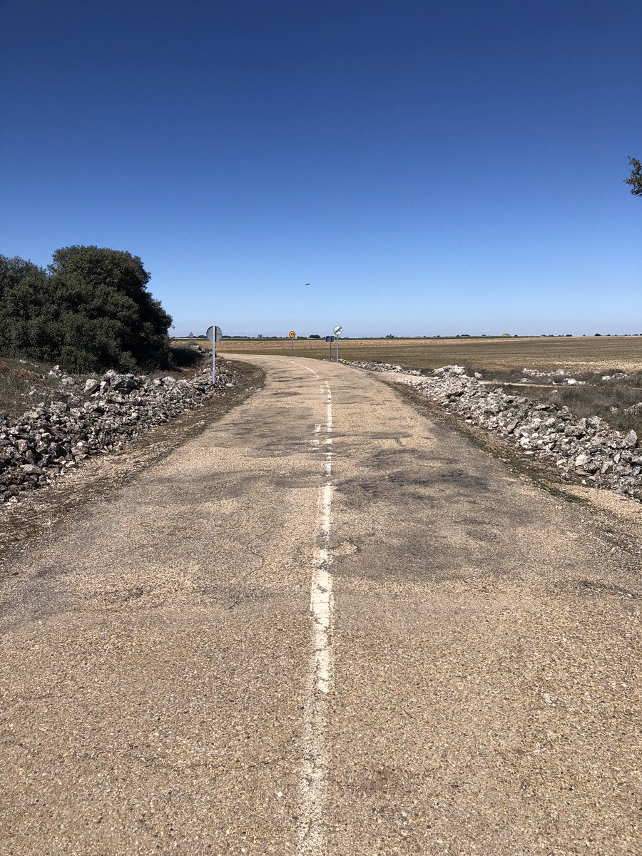 rbeltranperote's tweet image. El  desarrollo rural y el apoyo a nuestros pueblos en la lucha contra la despoblación también es “tener”y “mantener” buenas infraestructuras.
El estado y condiciones  de la #carretera #P110 son de vergüenza 
A quien corresponda!
@DGCyL @jcyl @diputacionPalen 
📸: @rbeltranperote