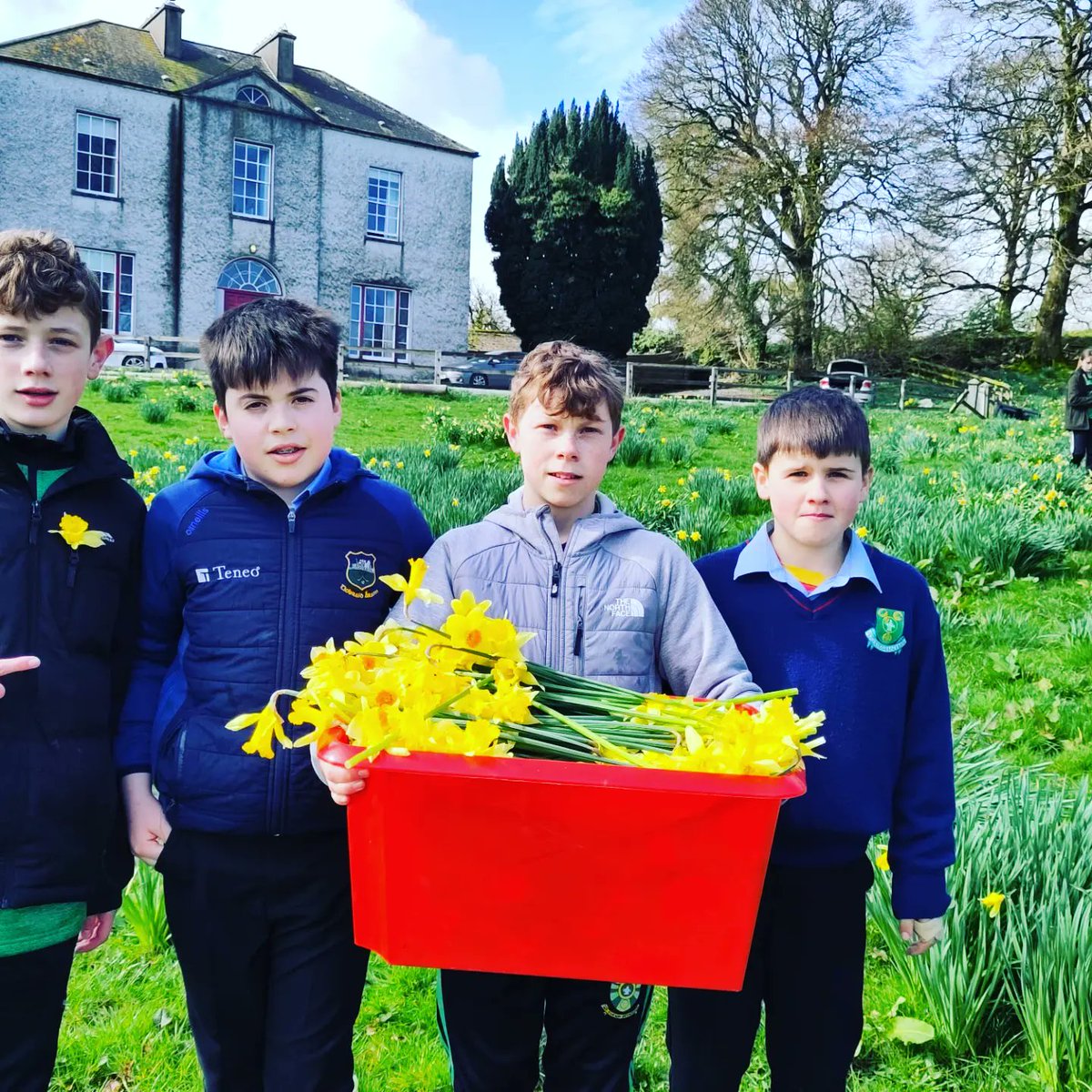 Scoil Ruáin (@scoilruain) on Twitter photo First Year students worked tirelessly picking daffodils in preparation for Daffodil day. Picking daffodils is a long-standing tradition in Scoil Ruáin that helps raise much-needed funds for the Irish Cancer Society <a href="/TipperaryETB/">Tipperary Education and Training Board</a> First Year students worked tirelessly picking daffodils in preparation for Daffodil day. Picking daffodils is a long-standing tradition in Scoil Ruáin that helps raise much-needed funds for the Irish Cancer Society <a href="/TipperaryETB/">Tipperary Education and Training Board</a>