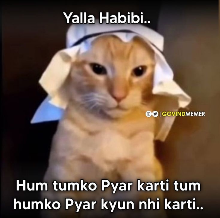 AkshataKatwe's tweet photo. Me to my crush after dropping all the possible hints🥲 https://t.co/gHLM5DAbli