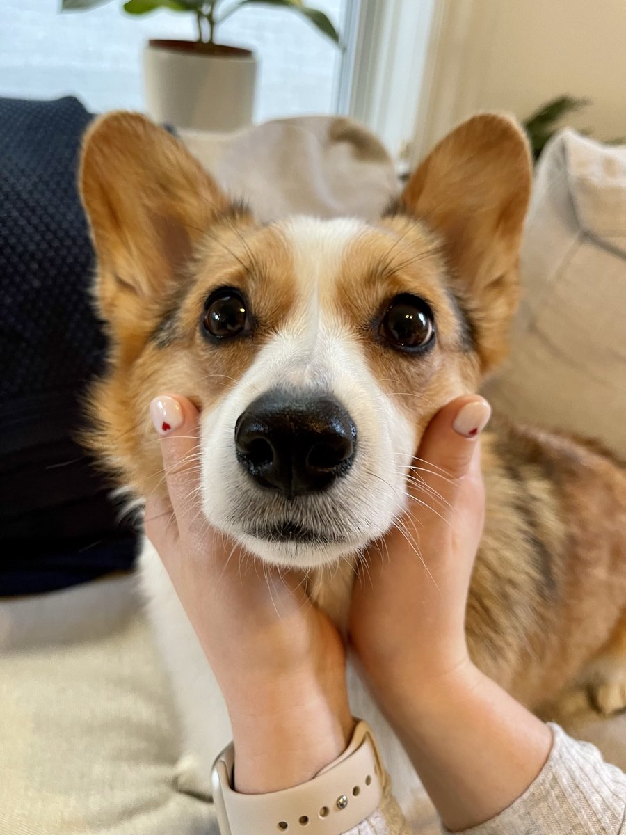 Sarah Freeman tweet media