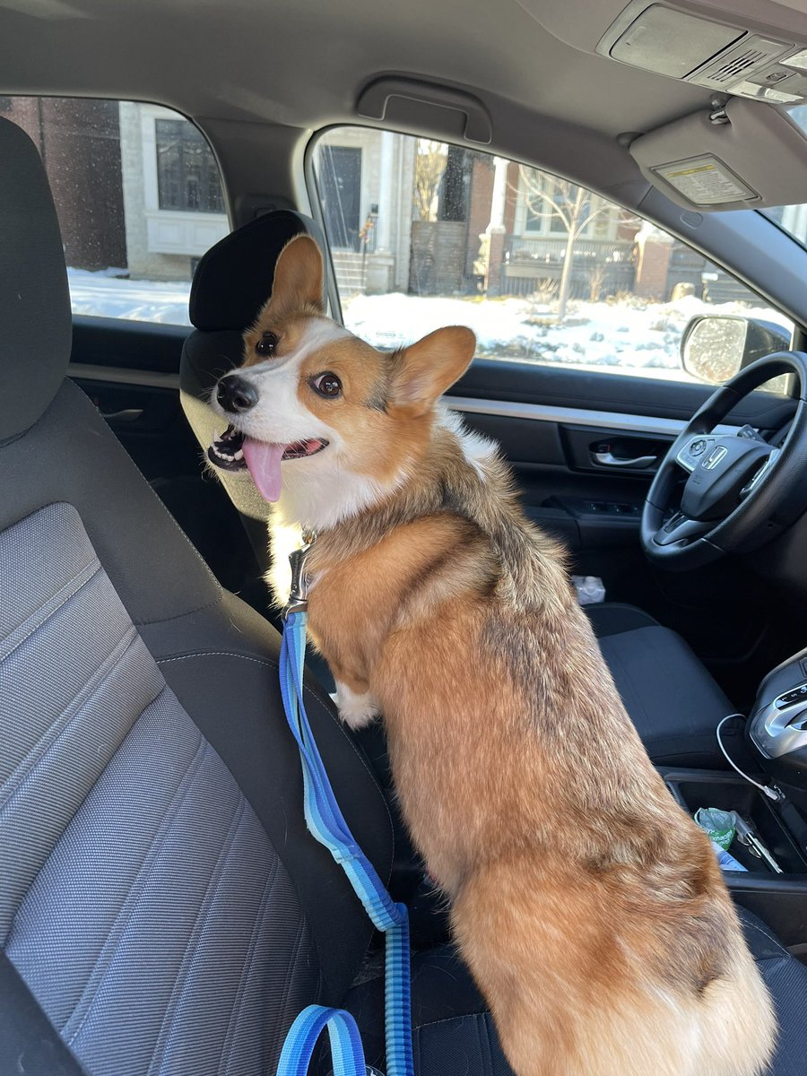 Sarah Freeman tweet media