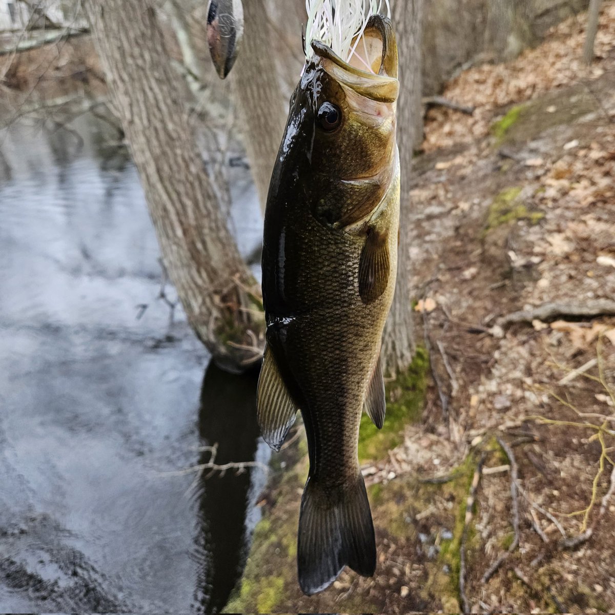 First fish of 2023! #fishingseason 🎣