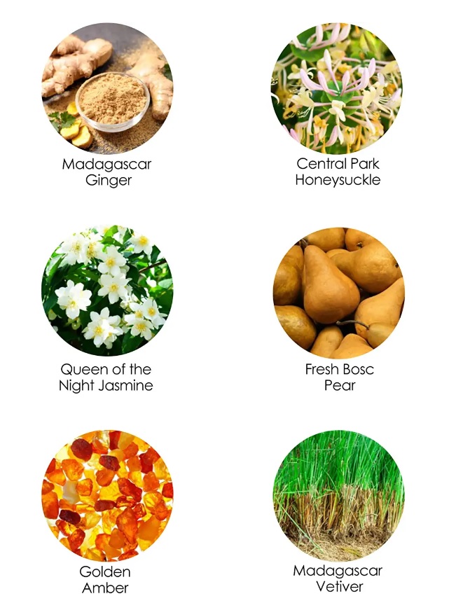 nrpena's tweet image. 🌿Scents &amp;amp; #TopNotes of @Ninewest #Fearless Include #GingerMadagascar 🍯#CentralParkHoneysuckle 🍐#FreshBoscPear #TubelianeDeLaire #QueenoftheNightJasmine. @HiTechchic  @Zappos