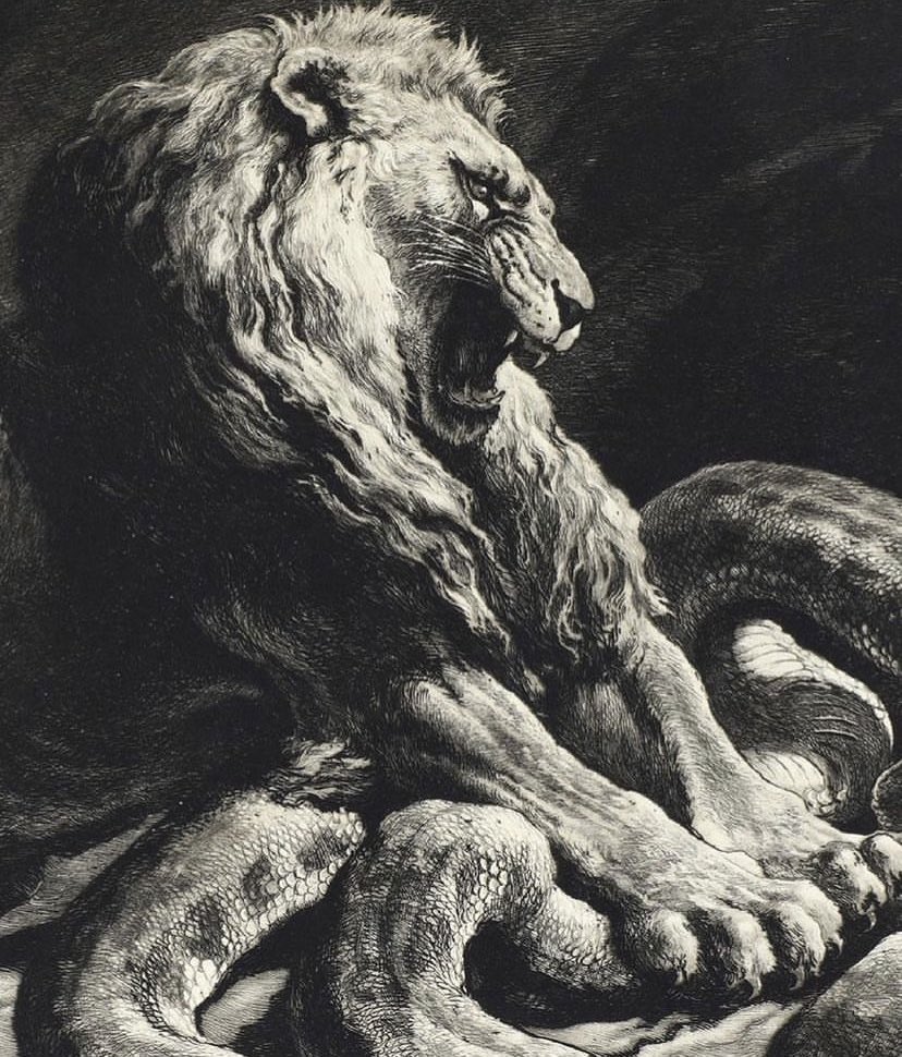 AcademiaAesthe1's tweet photo. Victory Lion Choking A Large Python, 1919 by Herbert Thomas Dicksee (1862-1942) https://t.co/Vzwi7iW2cp