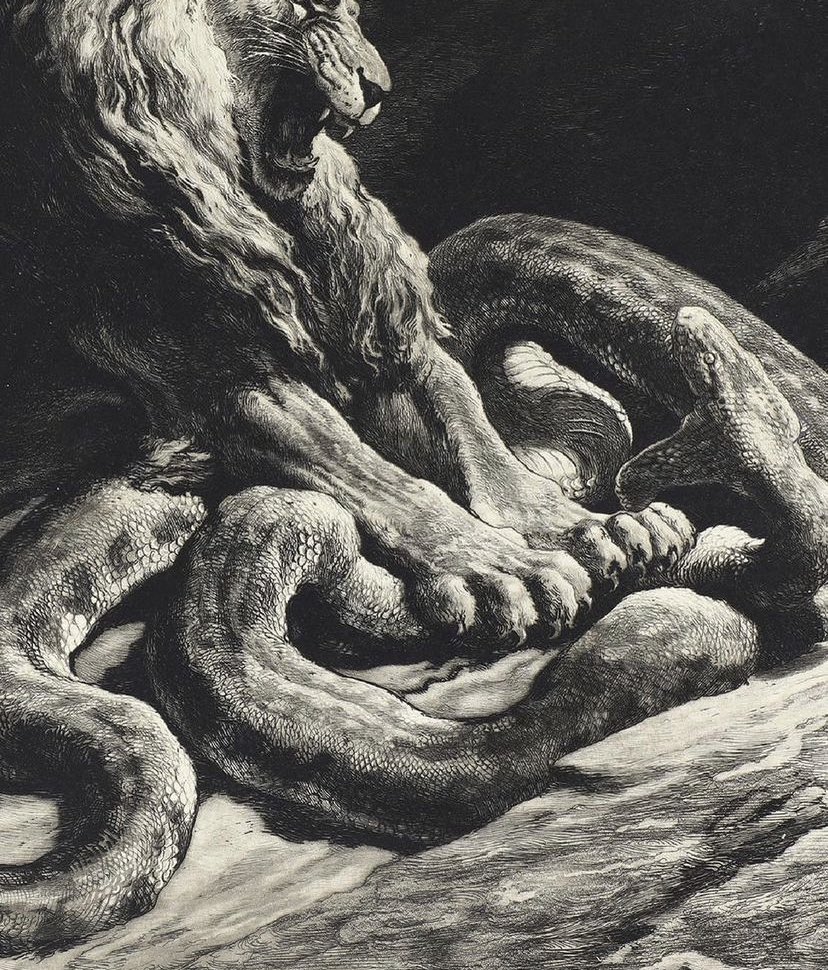AcademiaAesthe1's tweet photo. Victory Lion Choking A Large Python, 1919 by Herbert Thomas Dicksee (1862-1942) https://t.co/Vzwi7iW2cp