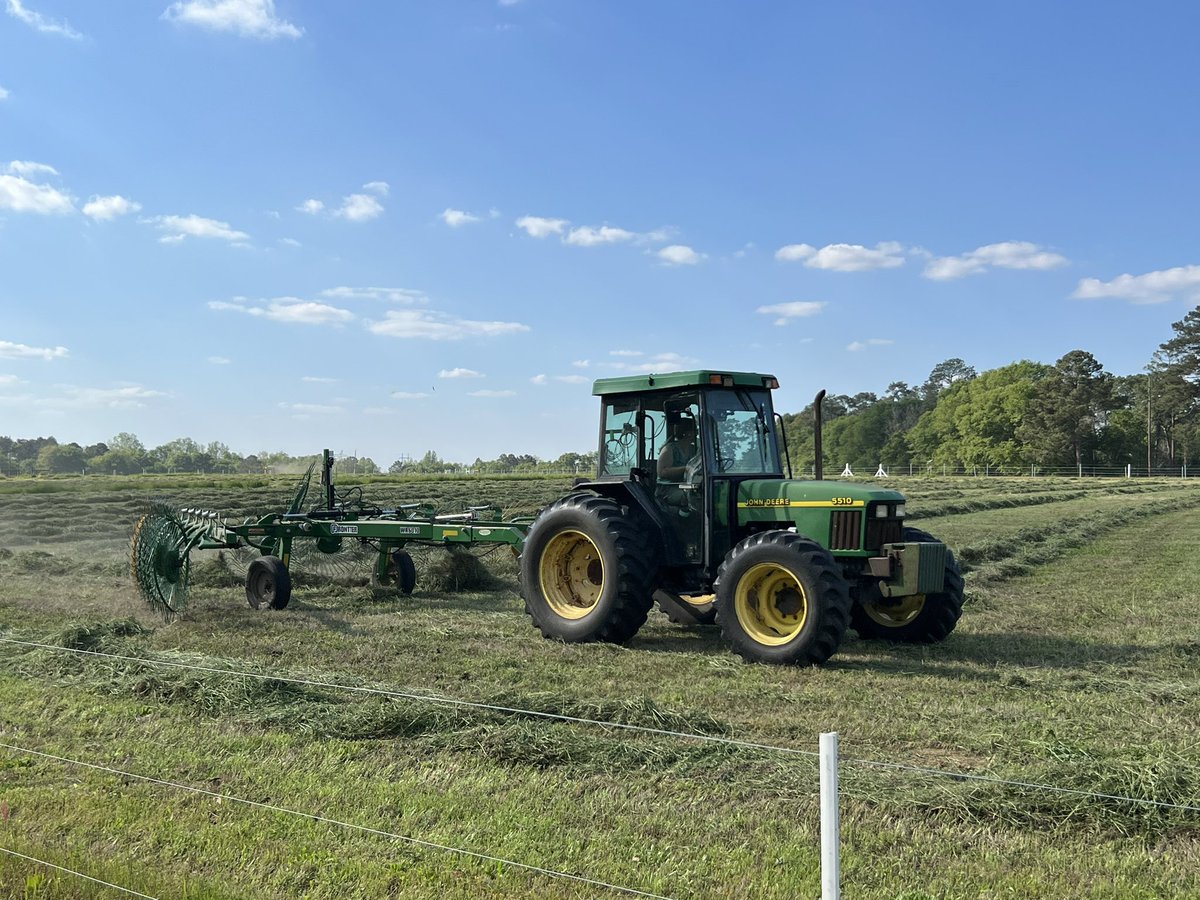 DrJJTuga's tweet photo. To say that I work with some amazing women is an understatement!! These ladies are putting in the work for our clean off cut at the #BetterGrazingProgram I am truly blessed to have an awesome team and amazing technician! #UGABeef #UGACAES #AlfalfaInTheSouth #NiftyTifty #SWAG https://t.co/IBjCo89T2j