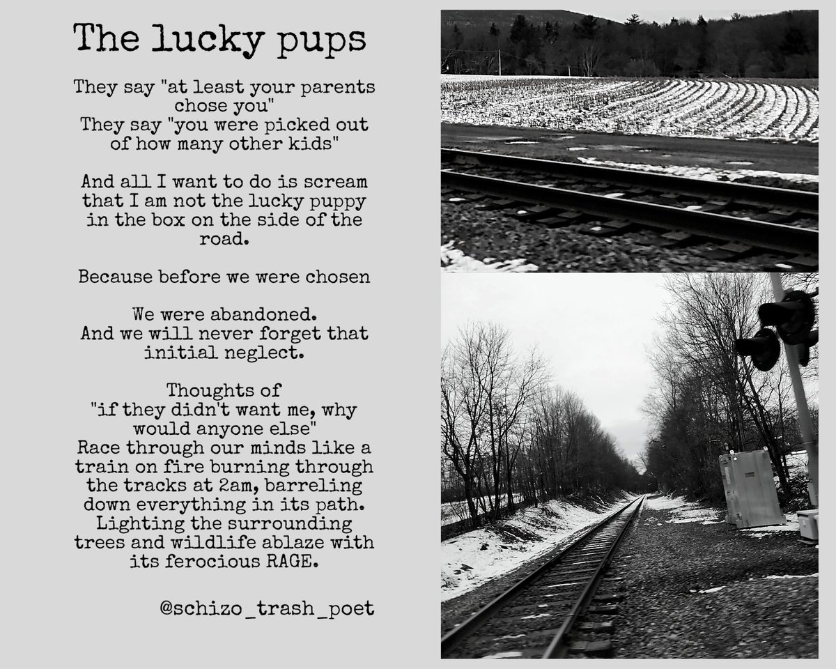 Schizotrashpoet's tweet image. 2 of the 8 new poems I've written in the last few weeks 💕 (first one is more of a snippet of a longer poem) 
#adoptiontrauma #trauma #poetrycommunity