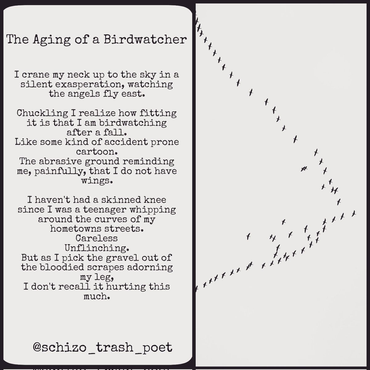 Schizotrashpoet's tweet image. 2 of the 8 new poems I've written in the last few weeks 💕 (first one is more of a snippet of a longer poem) 
#adoptiontrauma #trauma #poetrycommunity