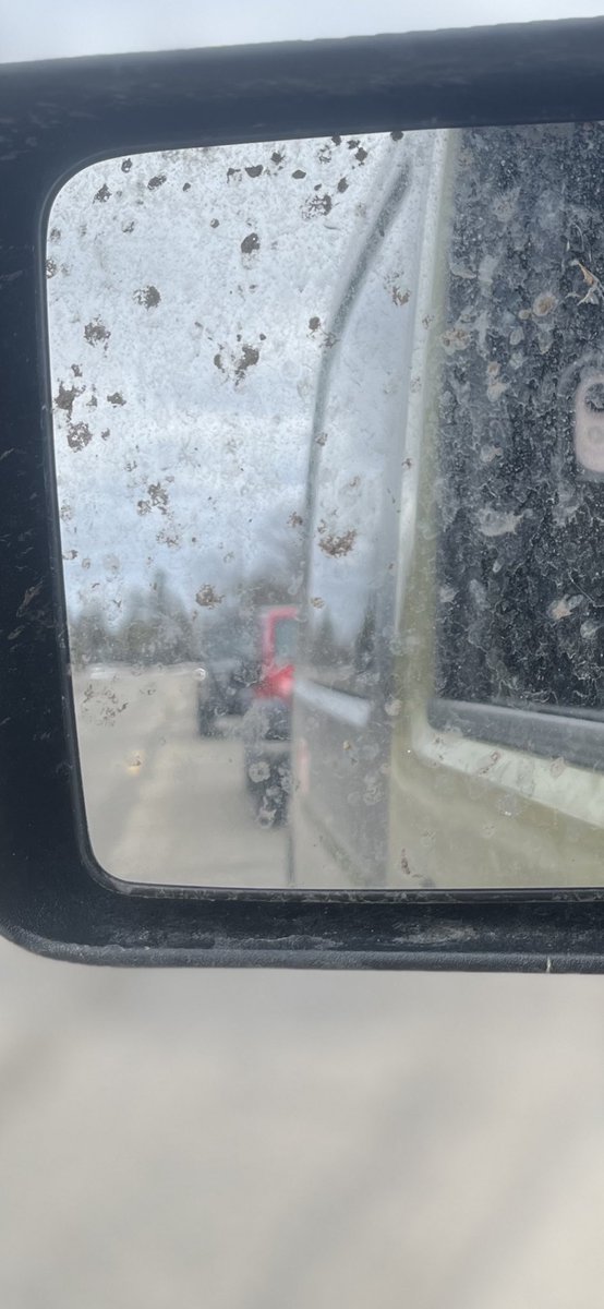 grundgetta49769's tweet photo. A red jk and a green jl, of course the rubicon led the way. #jeepparade https://t.co/uF5ARMlGna