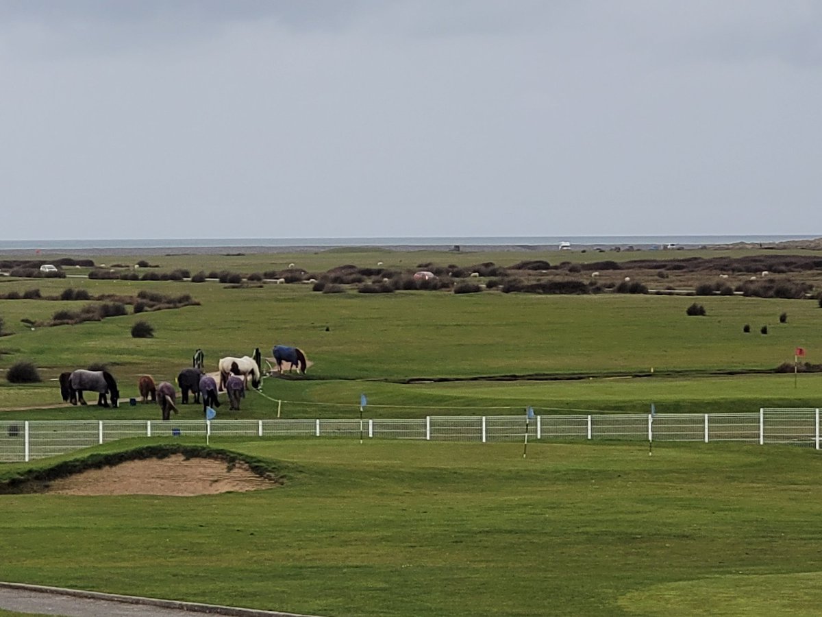 Steve Slinger tweet media